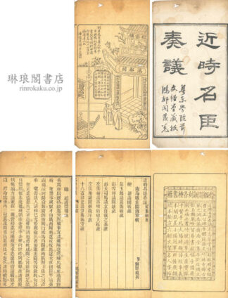 近時名臣奏議