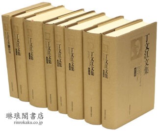 丁文江文集