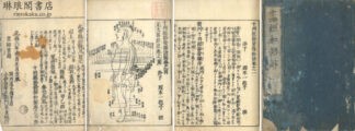 十四経絡発揮和解 六巻