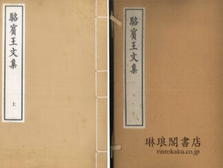 駱?王文集