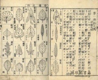 博物図教授法