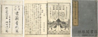 夢想兵衛胡蝶物語