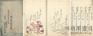 狂歌浦の雪