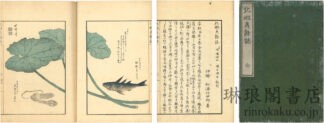 北蝦夷餘誌 一名咤?伊伽★呂津古紀行
