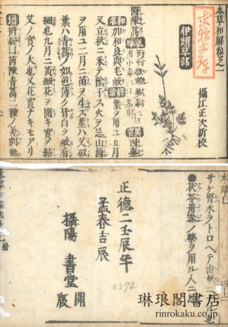 本草和解 七巻