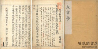 巵言抄