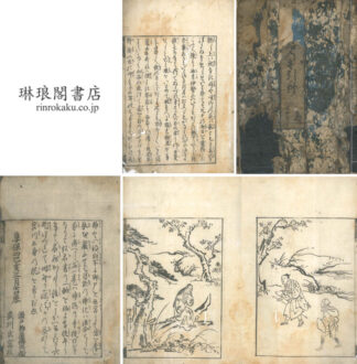 神路の手引草