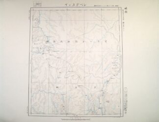 レベヂヌィイ 東亜五十万分一図