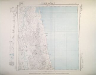デルビンスコエ 東亜五十万分一図
