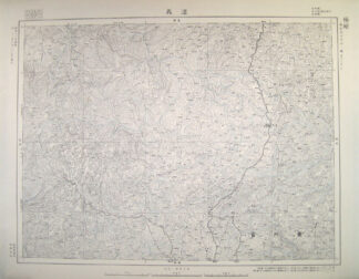 遵義 東亜五十万分一図