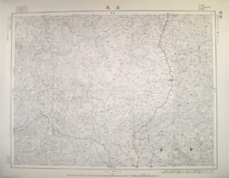 遵義 東亜五十万分一図