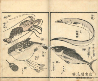 画本早満奈飛 三篇