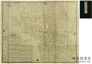 文化改正 御江戸大絵図