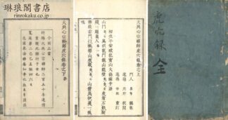 大興心宗禅師虎穴録