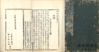 詩人玉屑 二十一巻